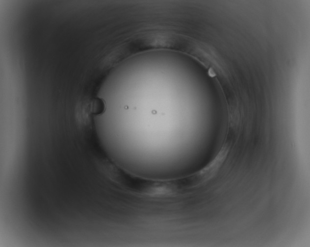 X0000100940175200806241435