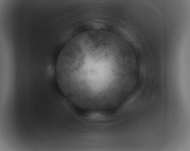 X0000100940177200806241435