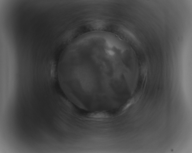 X0000100940181200806241435