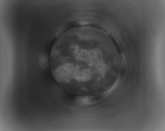 X0000100940182200806241435