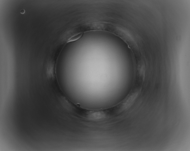 X0000100940185200806241435