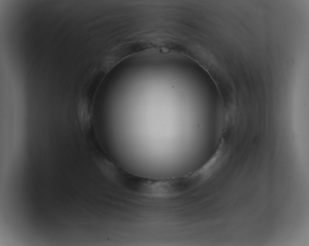 X0000100940186200806241435