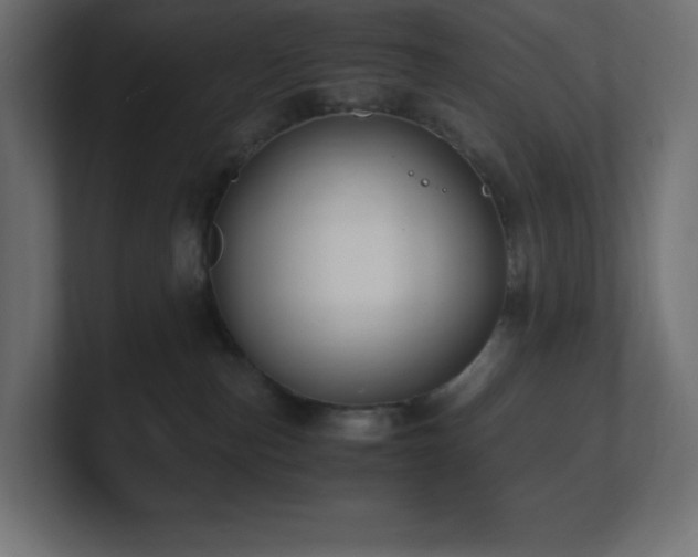 X0000100940187200806241435
