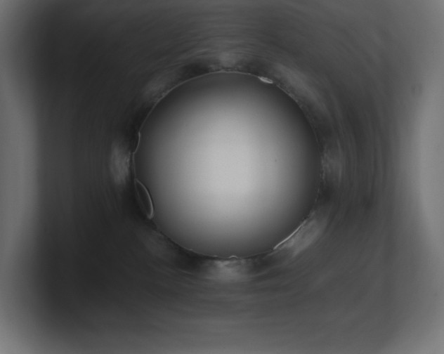 X0000100940188200806241435
