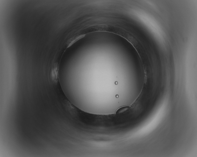 X0000100940190200806241435