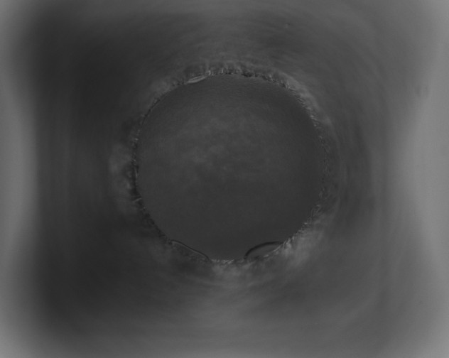 X0000100940192200806241435