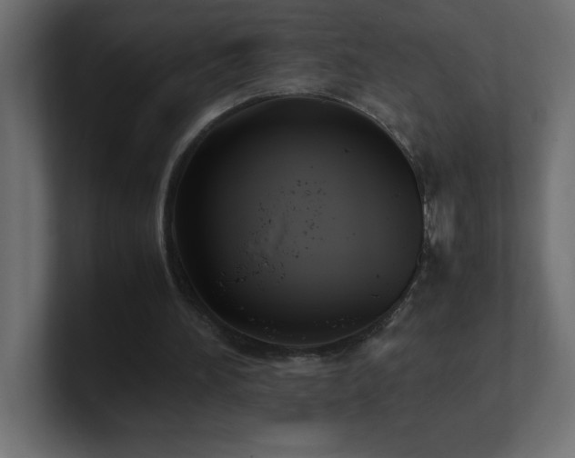 X0000100940196200806241435