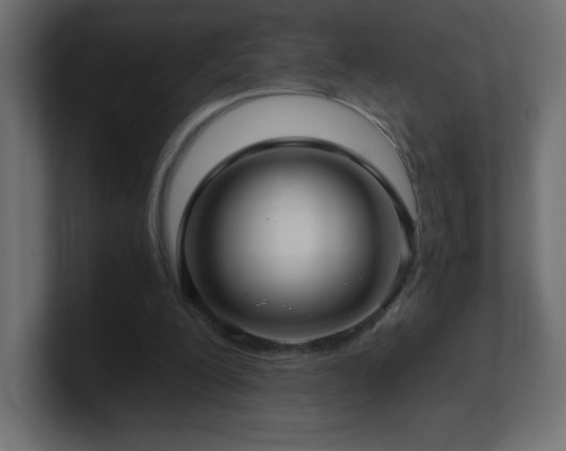 X0000100940200200806241435