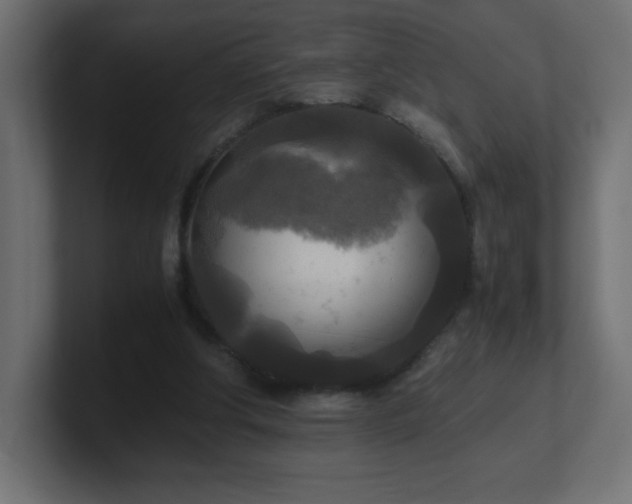 X0000100940202200806241435