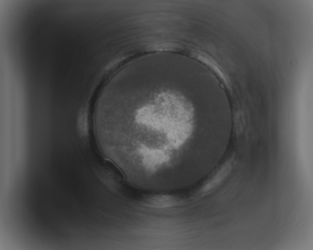 X0000100940203200806241435