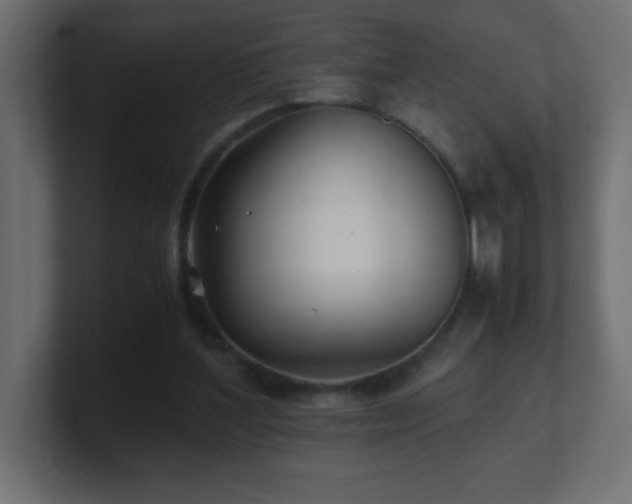 X0000100940204200806241435