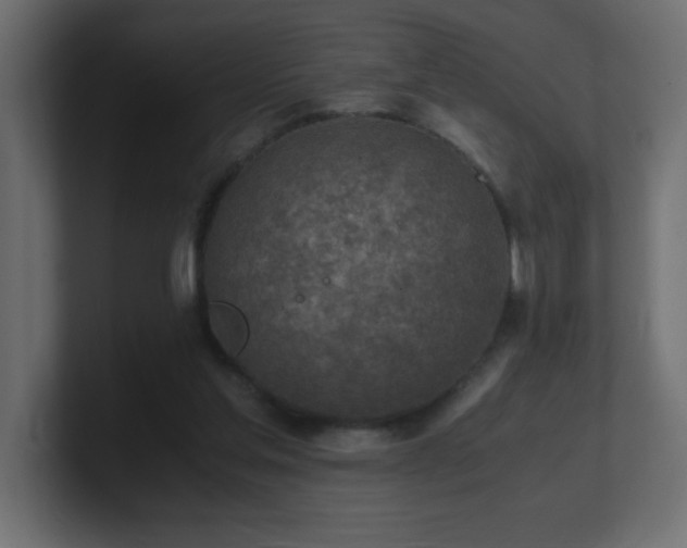 X0000100940205200806241435