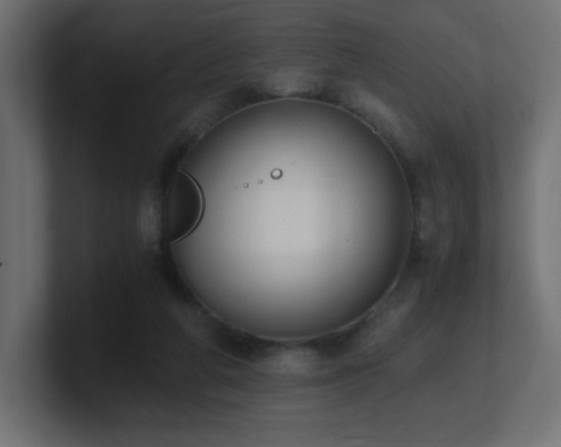 X0000100940210200806241434