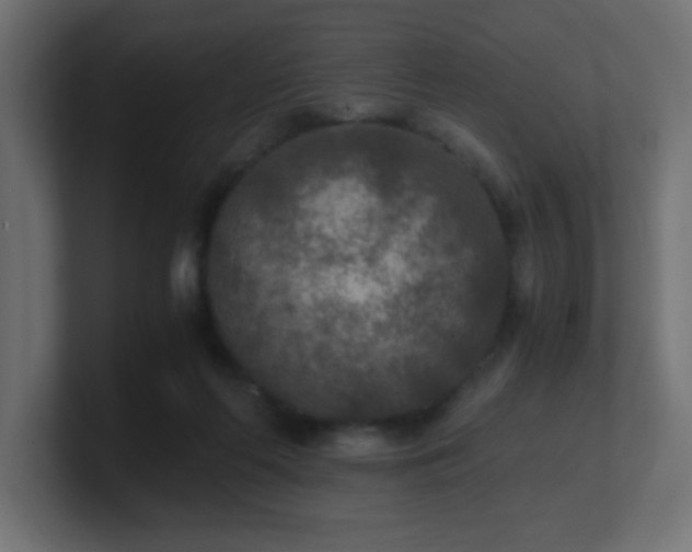 X0000100940214200806241434