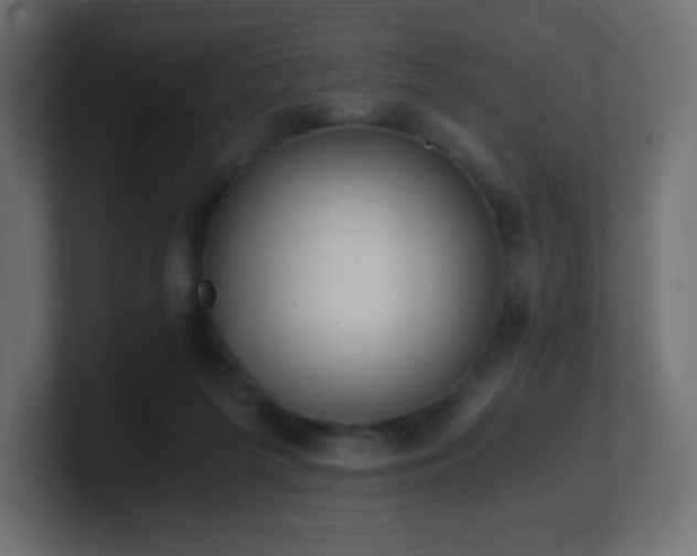 X0000100940215200806241434