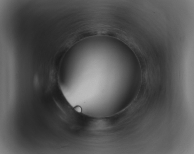 X0000100940218200806241434
