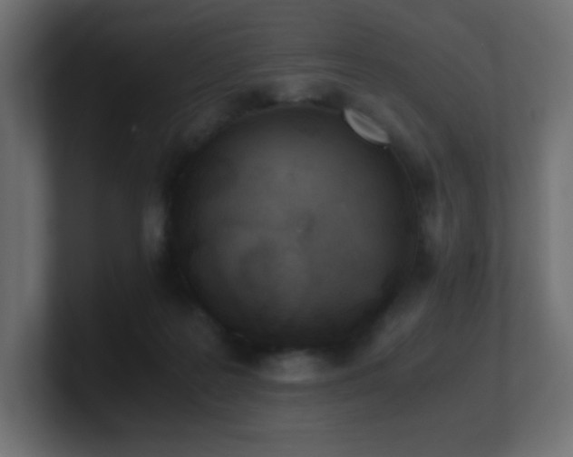 X0000100940219200806241434