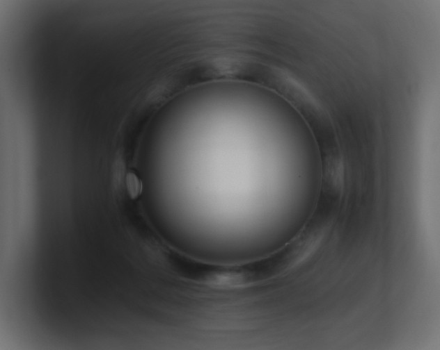 X0000100940220200806241434