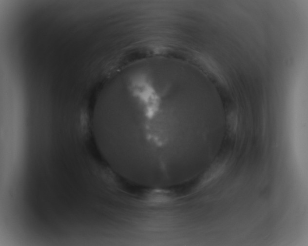 X0000100940222200806241434