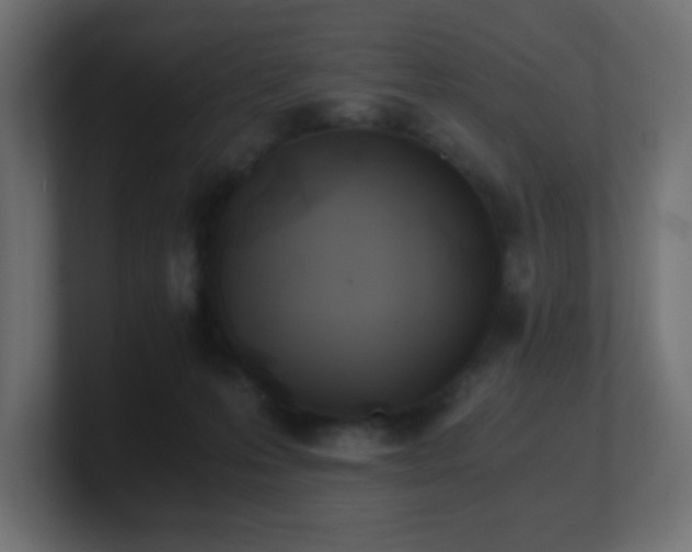 X0000100940223200806241434