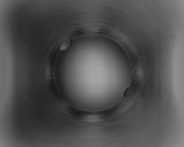X0000100940224200806241434