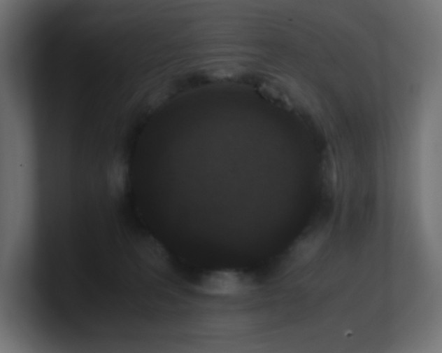 X0000100940227200806241434