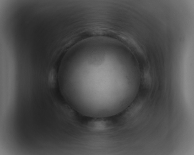 X0000100940228200806241434