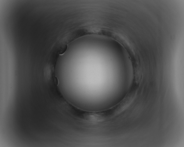 X0000100940229200806241434