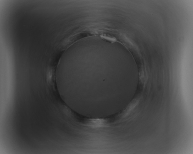 X0000100940233200806241434