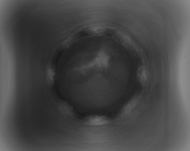 X0000100940235200806241434