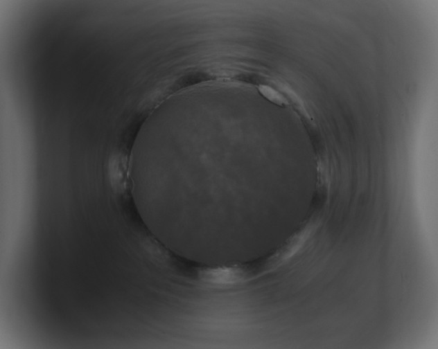 X0000100940237200806241434
