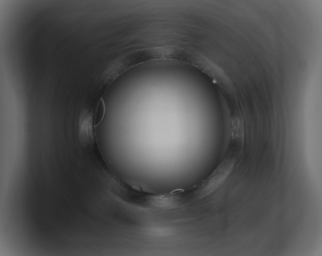 X0000100940238200806241434