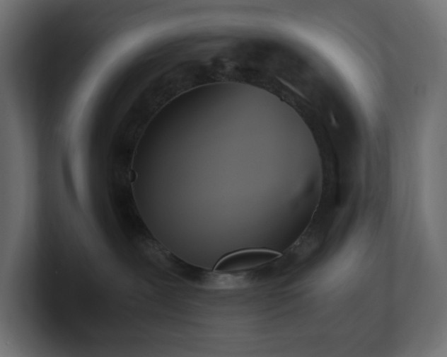 X0000100940239200806241434