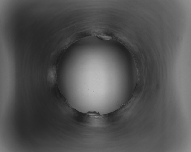 X0000100940240200806241434