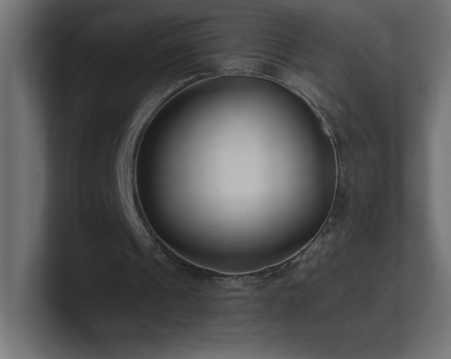 X0000100940241200806241433