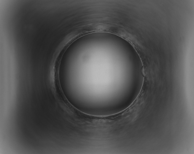 X0000100940242200806241433