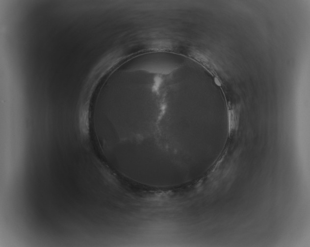 X0000100940243200806241433