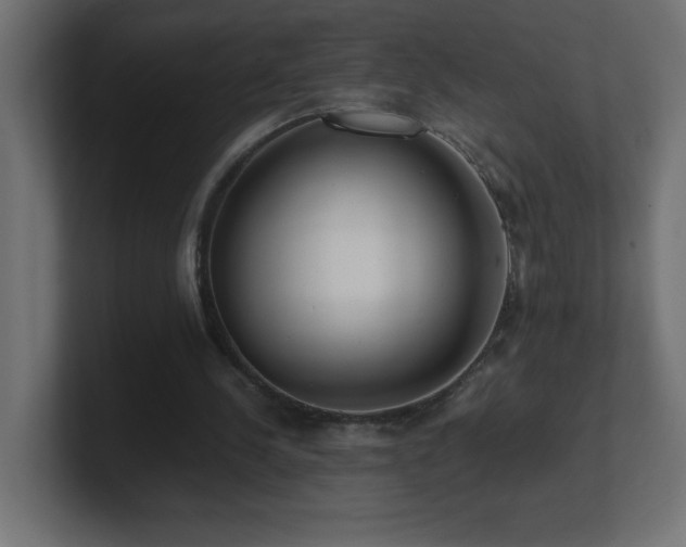 X0000100940244200806241433
