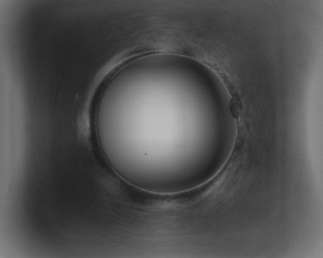 X0000100940246200806241433