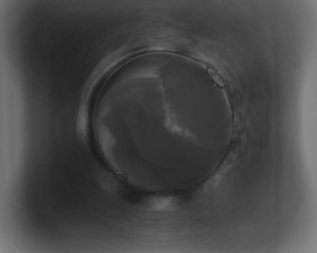 X0000100940247200806241433
