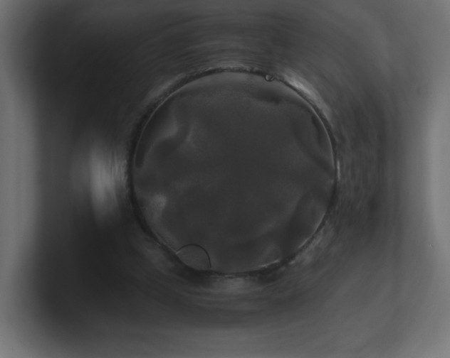 X0000100940249200806241433