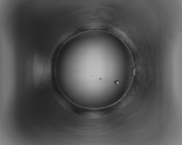 X0000100940250200806241433