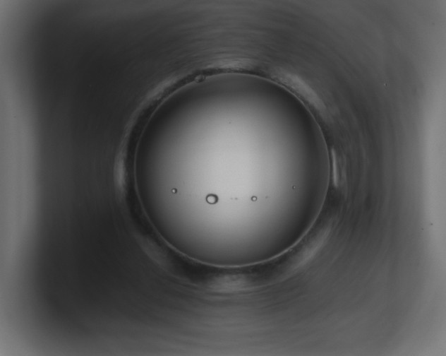 X0000100940252200806241434
