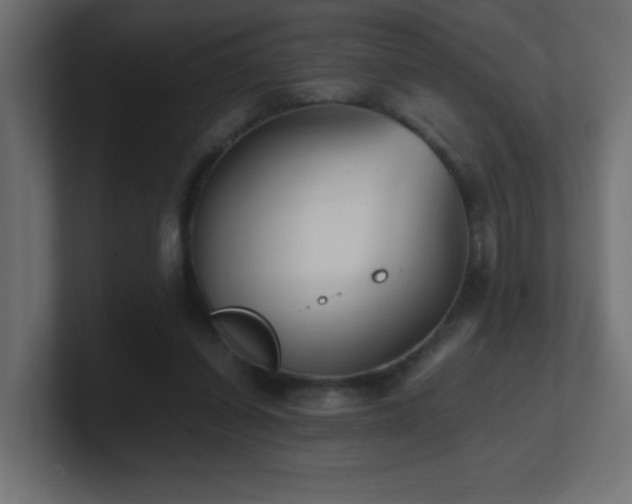 X0000100940254200806241434