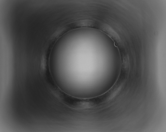 X0000100940255200806241434