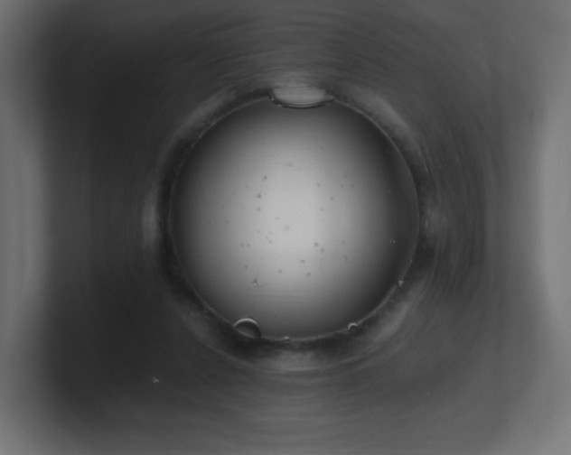 X0000100940256200806241434