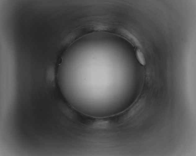 X0000100940257200806241434