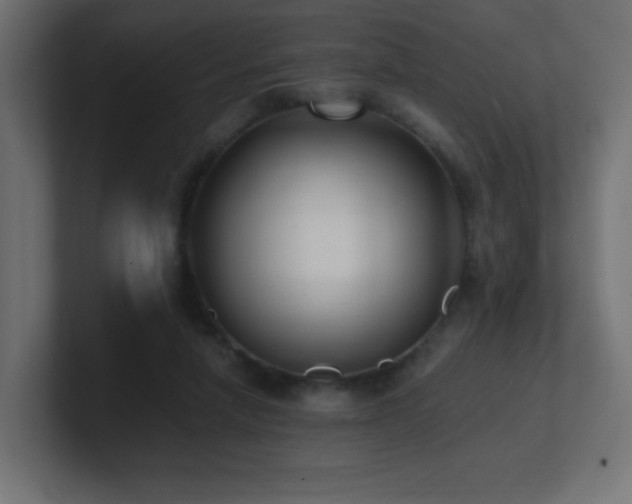 X0000100940258200806241434