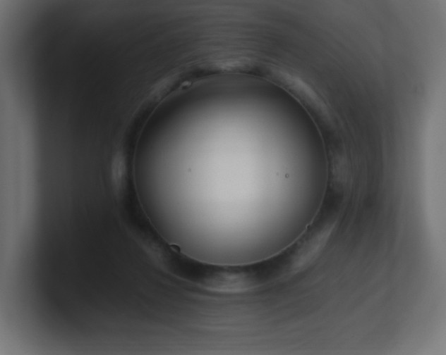 X0000100940260200806241434