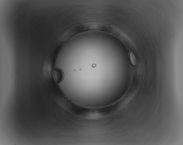 X0000100940262200806241434